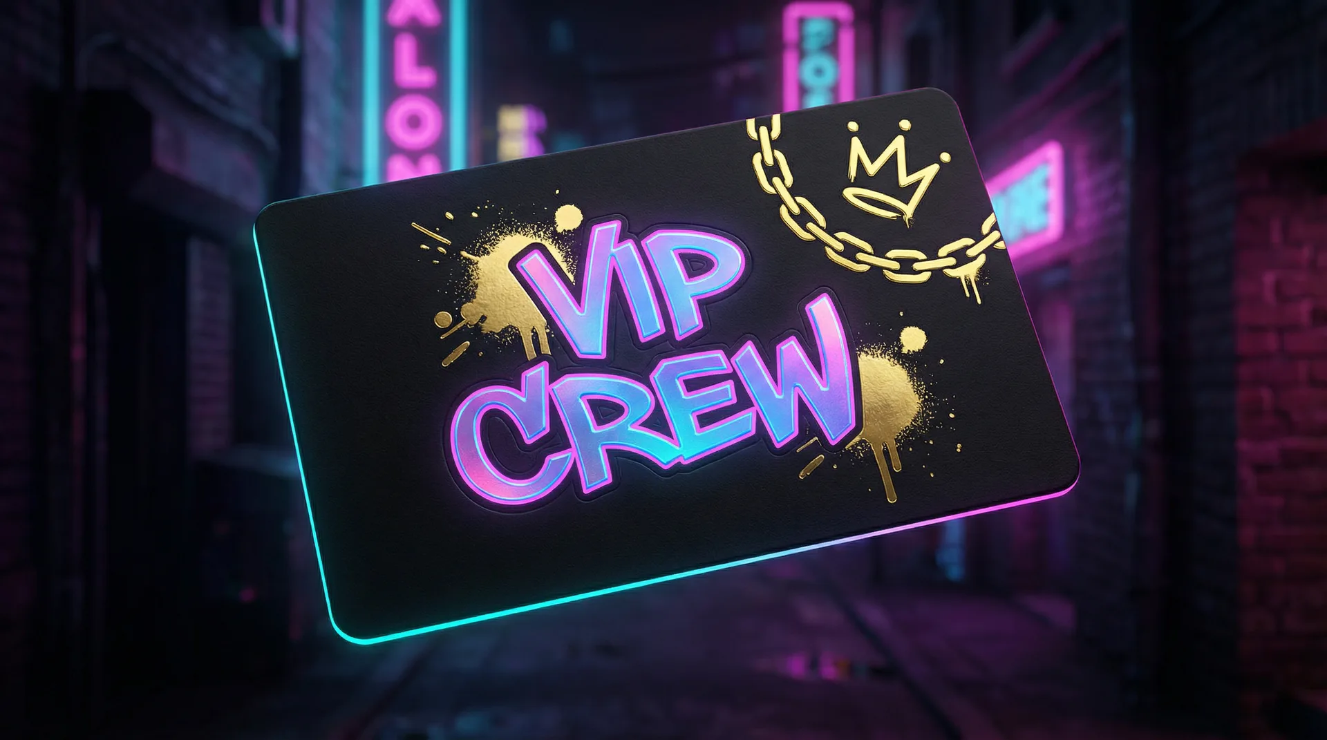 女圣骑加点 - VIP会员专属卡面